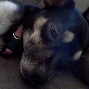 Meet your Posher, Kenneth